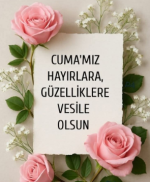 Ekran görüntüsü 2025-12-26 122143.png