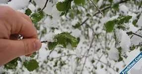 Meteoroloji zirai don riskine karşı uyardı-1.webp Meteoroloji zirai don riskine karşı uyardı-1.webp