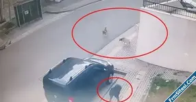 Bursada başıboş sokak köpeği dehşeti 10 yaşındaki çocuğa saldırdılar-1.webp