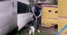 Ankarada 420 bin TL değerindeki Şampiyon köpek çalındı Nadir bulunan cinsin temsilcisiydi-1.webp Ankarada 420 bin TL değerindeki Şampiyon köpek çalındı Nadir bulunan cinsin temsilcisiydi-1.webp