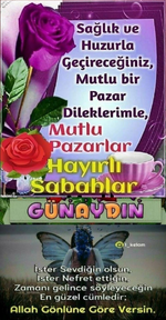 1745709037853.png
