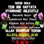 43809422f24290ca8c2a6bd919fd8a56.jpg