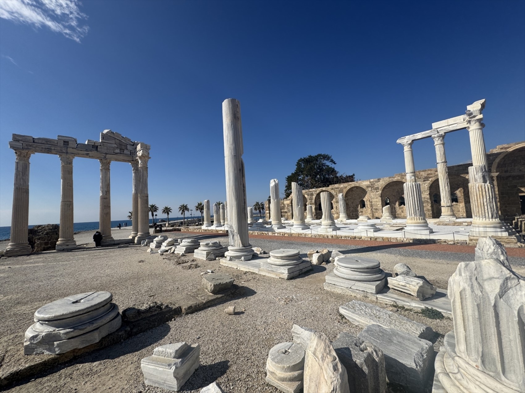 114643249-athena-tapinagi.jpg
